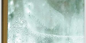 window condensation window condensation