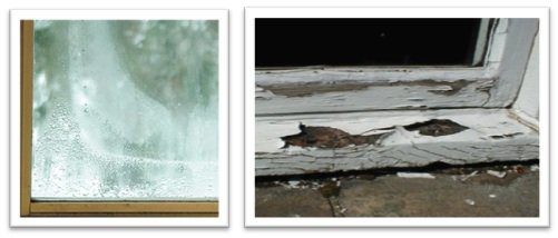 Time to Replace Your Windows Time to Replace Your Windows