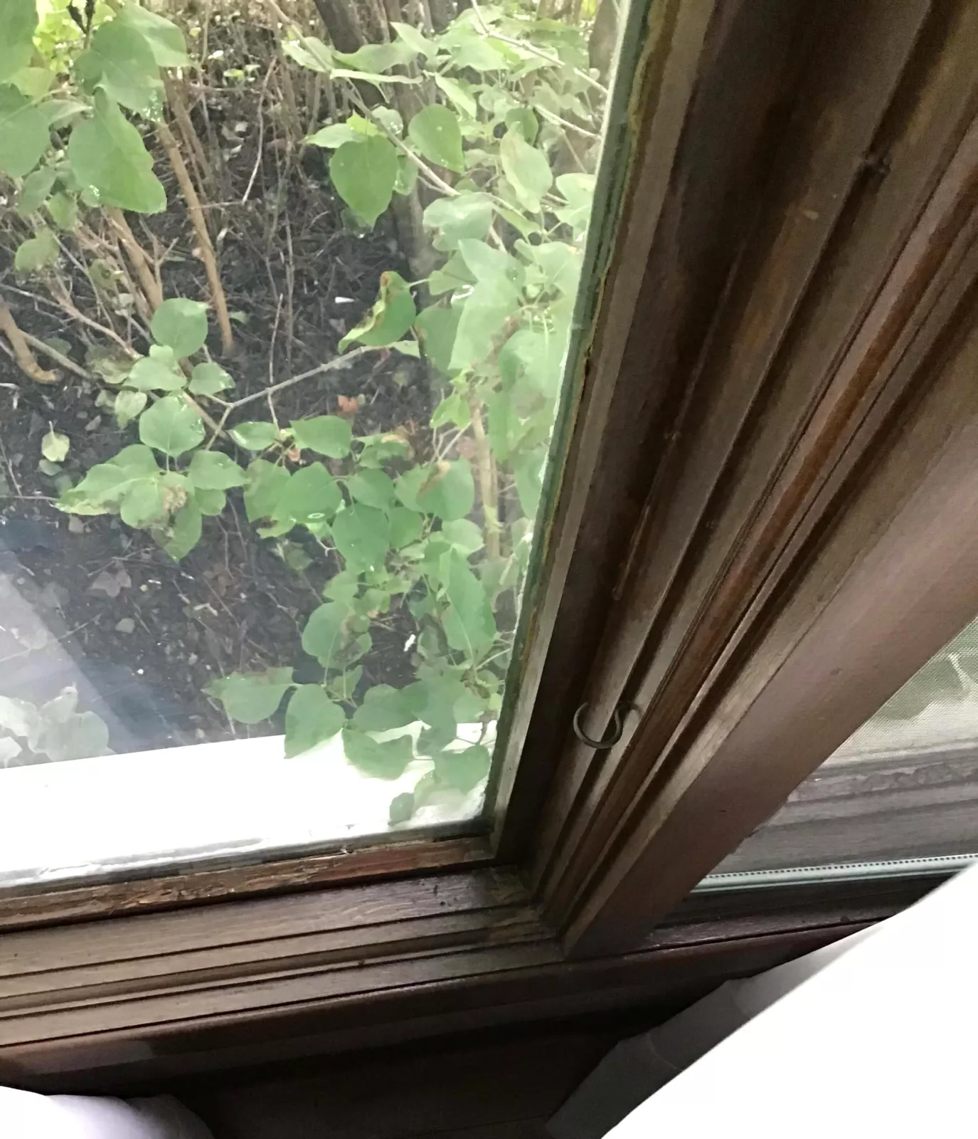 Problem with old windows Interior damage on old windows