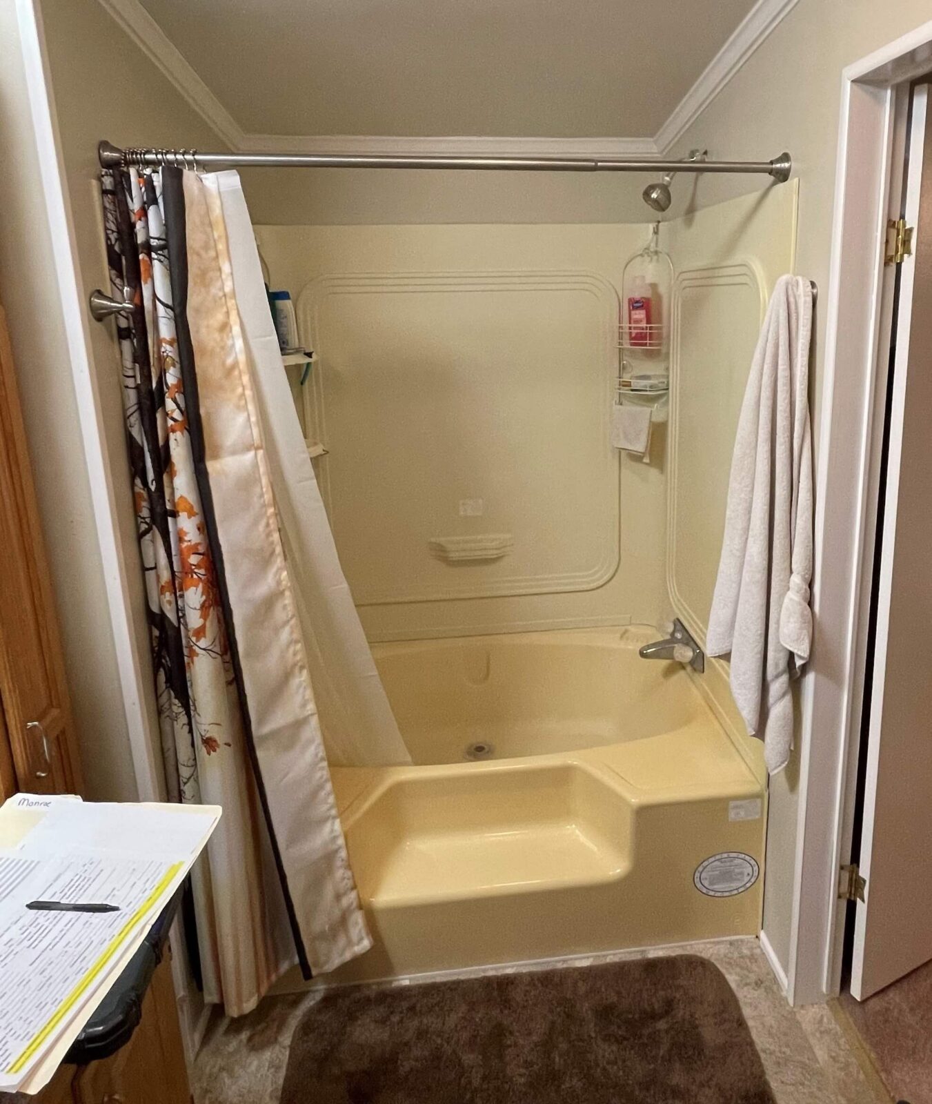 Bath Before tub-shower-before