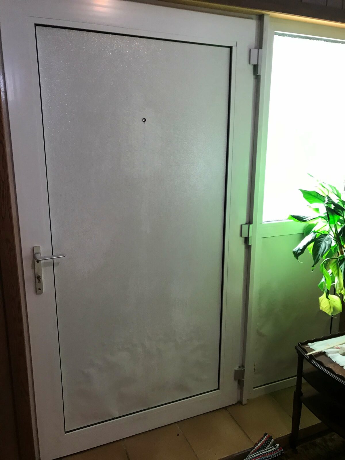 Door Before-Interior