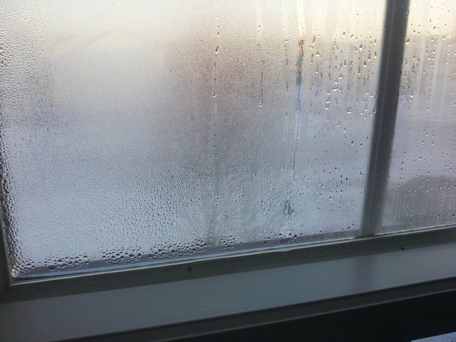 condensation on windows
