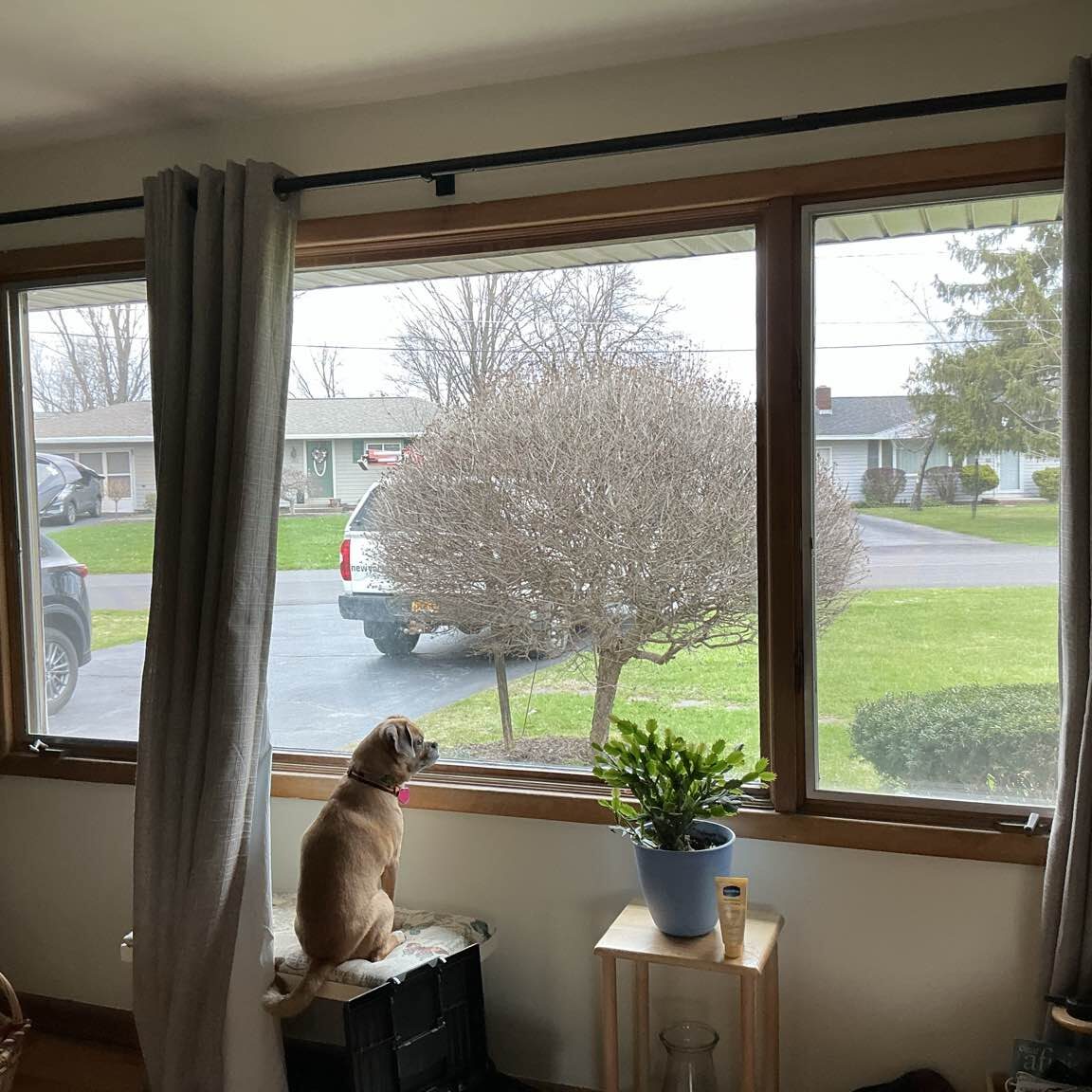 Close up of old picture window awaiting a New York Sash install in Syracuse, NY.